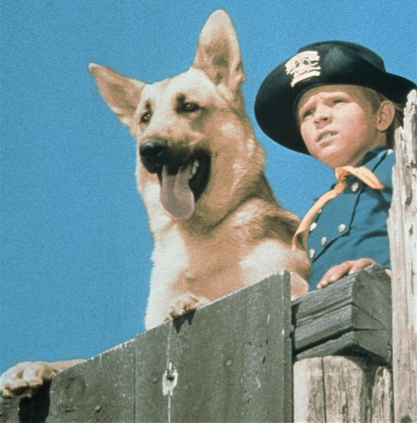 Rin Tin Tin TV photo of dog and boy